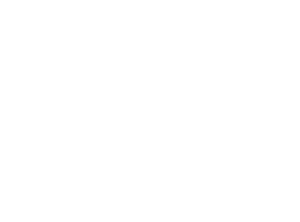 6 6